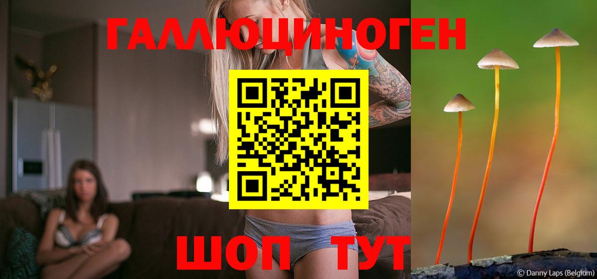 Галлюциногенные грибы Psilocybe  Вход с VPN  Дюртюли 